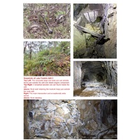 The Sir John Franklin Mines of Woods Point