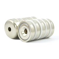 Rare Earth Magnet 25mm x 8mm