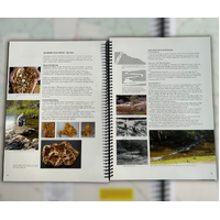 Doug Stone Guide to Gold Prospecting Victoria's Golden Triangle