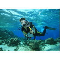 Nokta PulseDive 2-In-1 Set (Yellow) Metal Detector