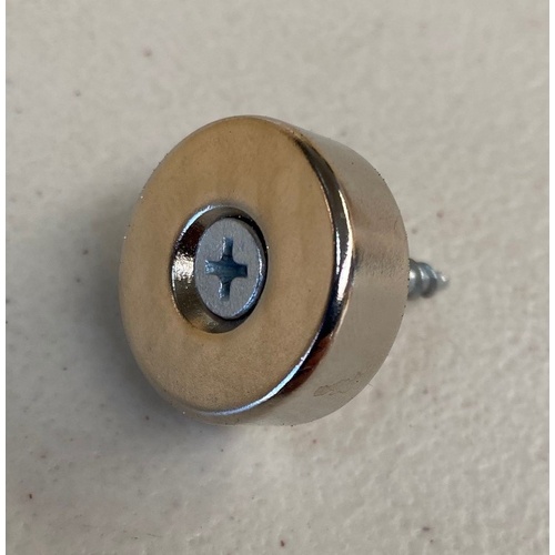 Rare Earth Magnet
