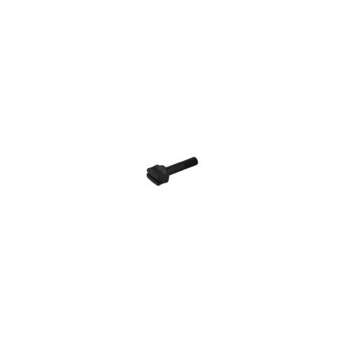 Minelab Spare Part 4003-0121 - Screw, Thumb Plastic 1-4 Inch BSW