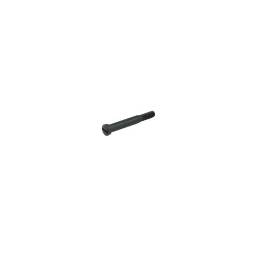 Minelab Spare Part 4003-0125 - Screw, Plastic M6 x 50 Black