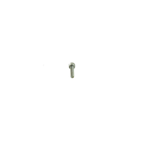 Minelab Spare Part 31-24016-980 - Screw M4x16 304SS Skt Cap Hd