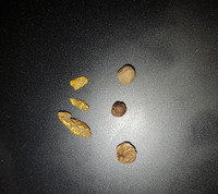 Detecting flogged ground with the Minelab GPZ 7000